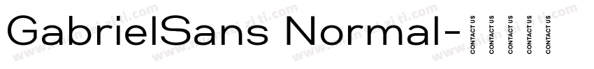 GabrielSans Normal字体转换